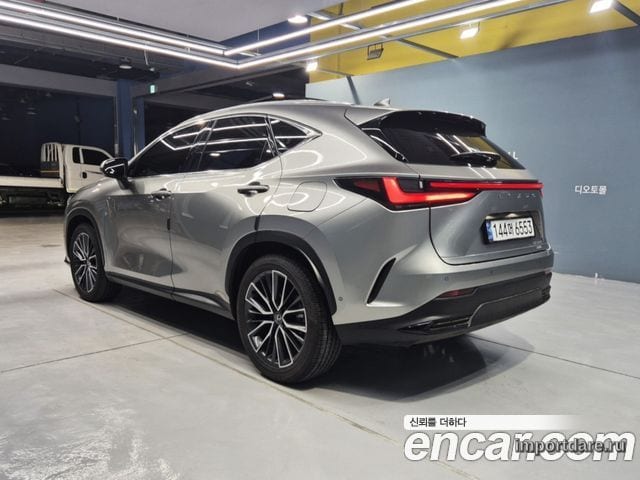 LEXUS NX350H 2025 — 7 000 км, светло-золотистый, Корея — под ключ — фото 5
