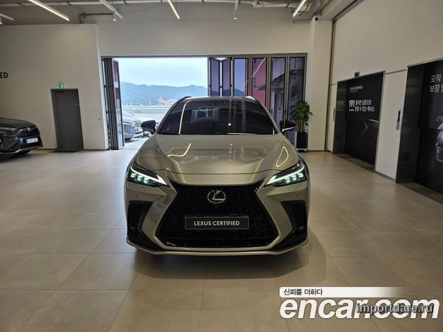LEXUS NX450H+ 2026 — 10 202 км, светло-золотистый, Корея — под ключ — фото 3