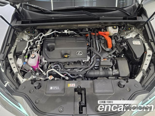 LEXUS NX450H+ 2026 — 10 202 км, светло-золотистый, Корея — под ключ — фото 6