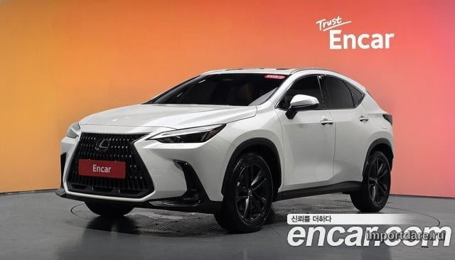 LEXUS NX350H 2025 — 11 249 км, белый, Корея — под ключ — фото 2