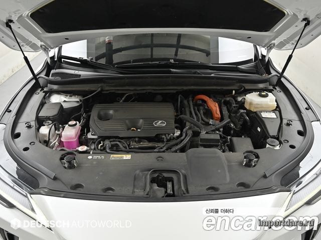 LEXUS RX350H 2024 — 39 982 км, белый, Корея — под ключ — фото 6