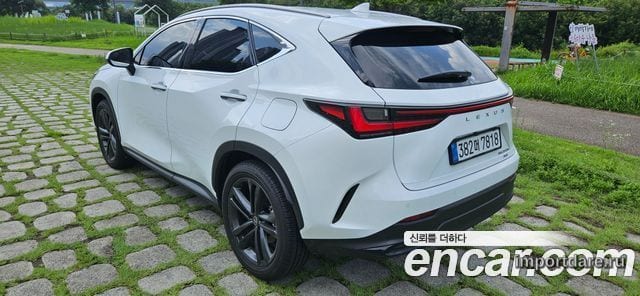 Lexus Nx350h сзади