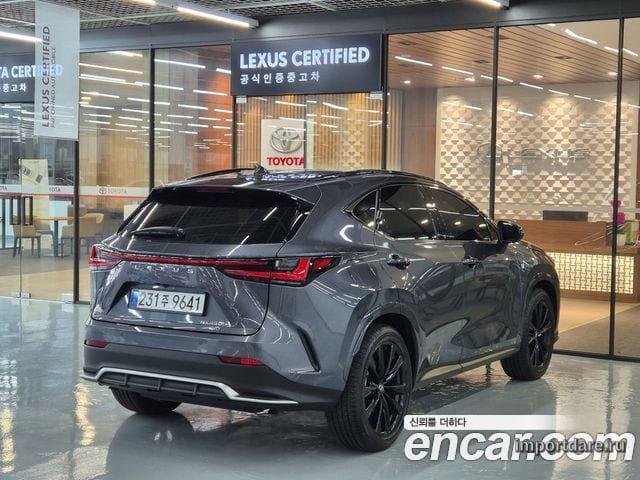 LEXUS NX450H+ 2025 — 6 952 км, серый, Корея — под ключ — фото 2