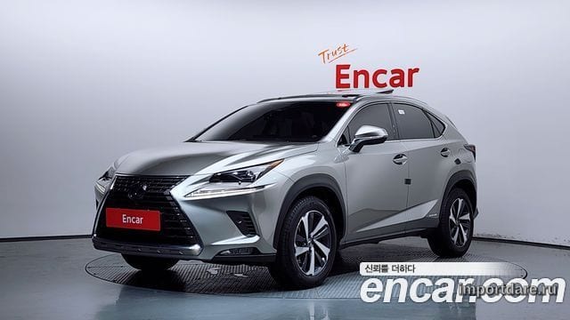 LEXUS NX300H 2019 — 26 054 км, серый, Корея — под ключ — фото 1