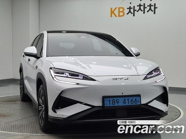 BYD сзади