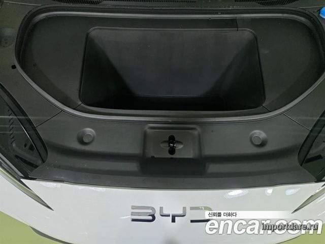 BYD детали