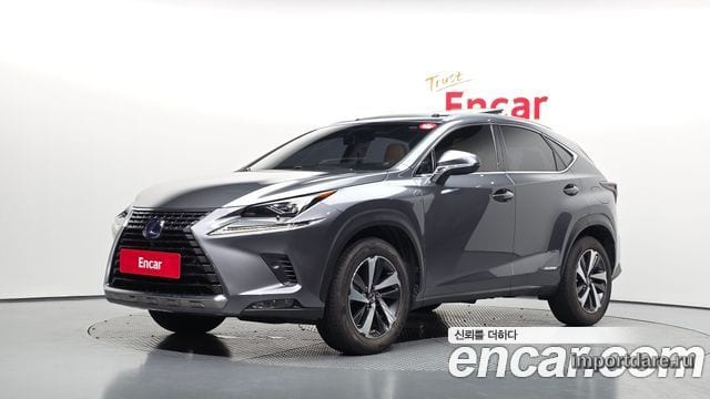 LEXUS NX300H 2018 — 94 800 км, серый, Корея — под ключ — фото 1