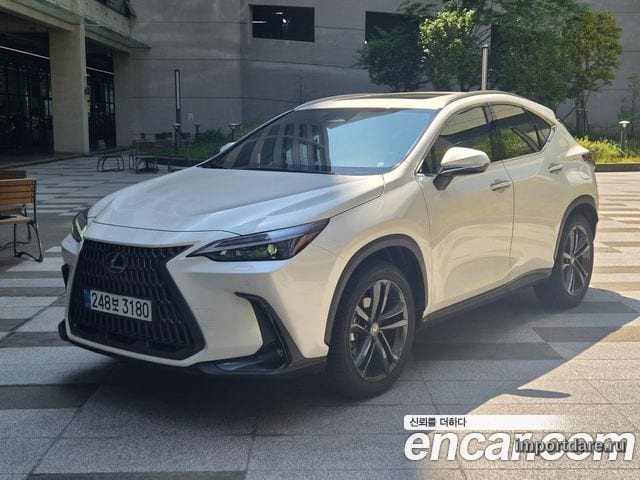 Lexus NX 2025