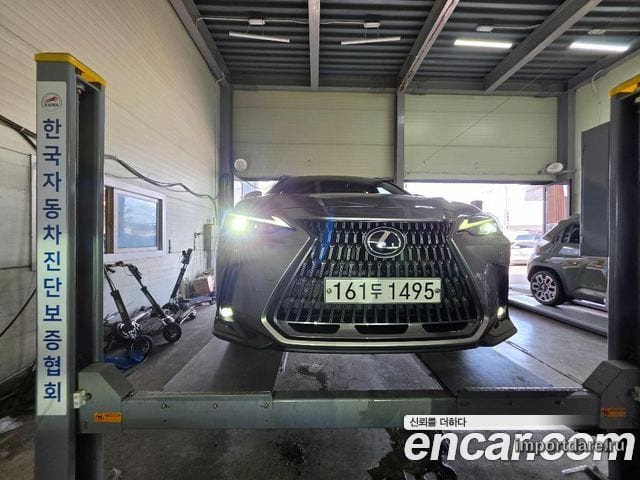 LEXUS NX350H 2022 — 63 013 км, светло-золотистый, Корея — под ключ — фото 5