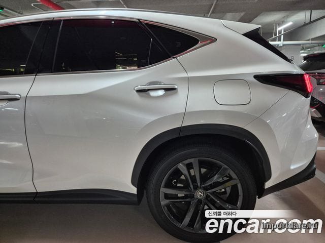 LEXUS NX350H 2025 — 12 200 км, белый, Корея — под ключ — фото 3