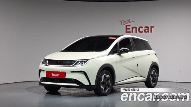 BYD DOLPHIN 2026 — 1 732 км, белый-перламутр, Корея — под ключ — фото 1