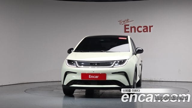 BYD DOLPHIN 2026 — 1 732 км, белый-перламутр, Корея — под ключ — фото 3