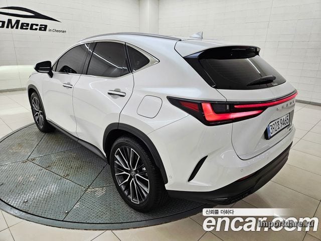 LEXUS NX350H 2025 — 7 302 км, белый, Корея — под ключ — фото 4