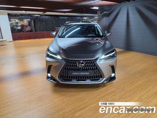 Lexus Nx интерьер