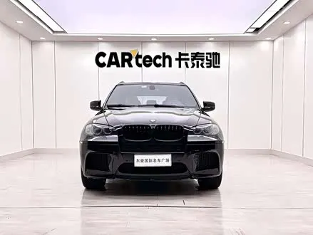 BMW X5 2010