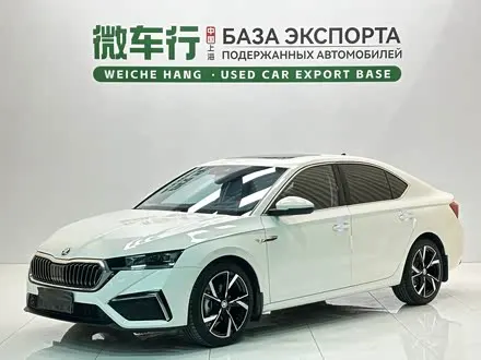 SKODA OCTAVIA — из Китая под ключ