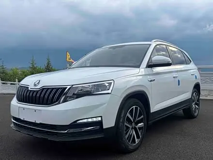 SKODA KAMIQ — из Китая под ключ
