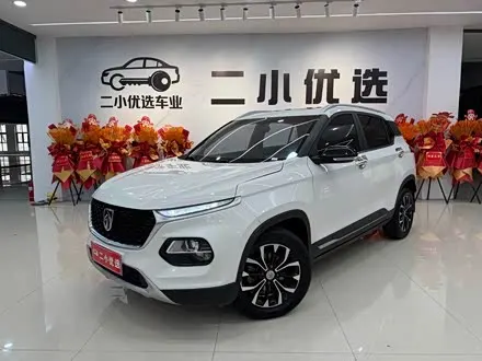 BAOJUN 510 2019