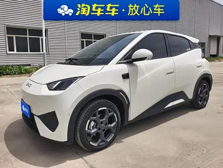 BYD SEAGULL 2025