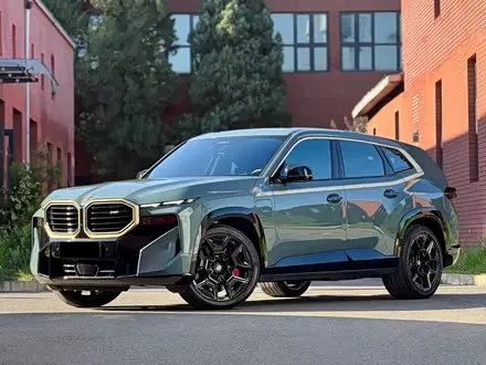 BMW XM 2023
