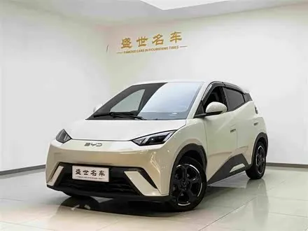 BYD SEAGULL 2024