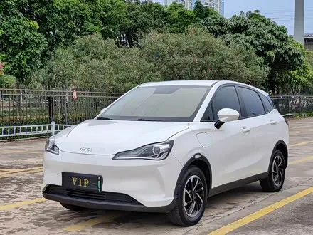 NETA V 2021