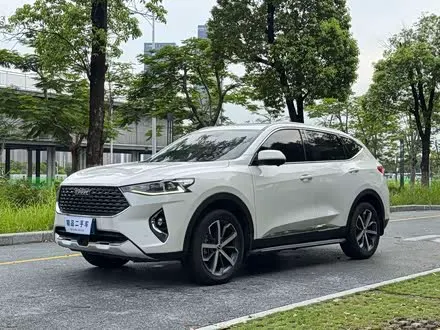 HAVAL F7 — из Китая под ключ