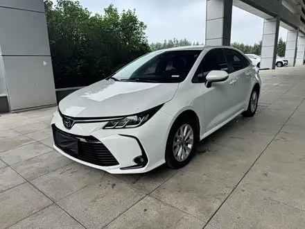 TOYOTA COROLLA 2023