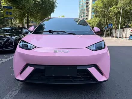 BYD SEAGULL 2024
