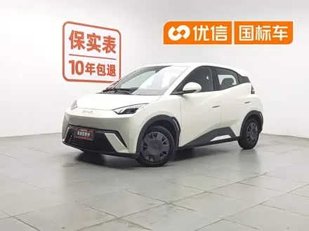 BYD SEAGULL 2024