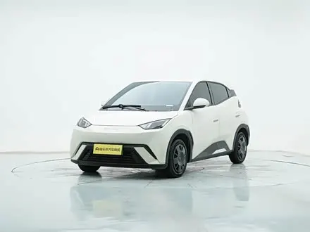 BYD SEAGULL 2025