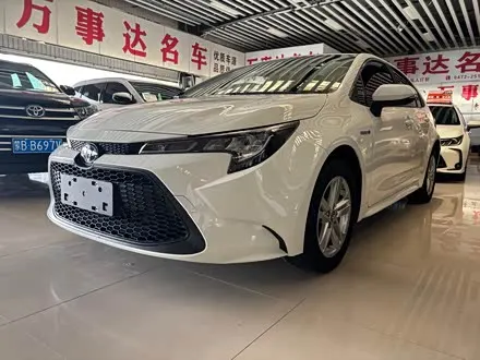 Toyota Levin — из Китая под ключ