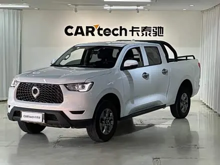GREAT WALL POER 2021