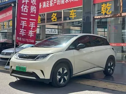 BYD Dolphin — из Китая под ключ