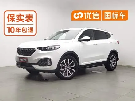 WEY VV6 2020