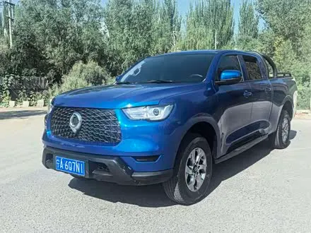GREAT WALL POER 2023