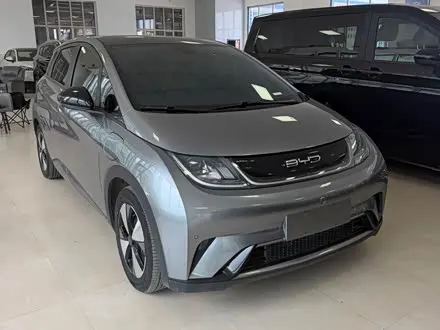 BYD DOLPHIN — из Китая под ключ