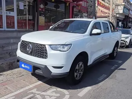 GREAT WALL POER 2021