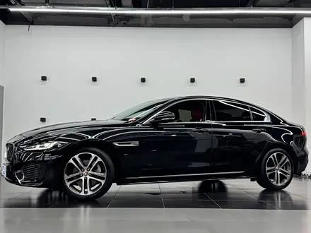JAGUAR XEL 2023