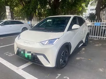 BYD SEAGULL — из Китая под ключ