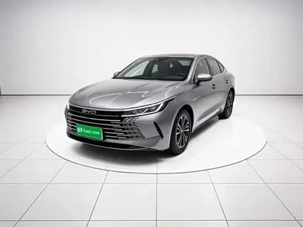 BYD DESTROYER 05 2024