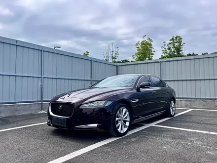 JAGUAR XFL 2019