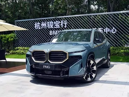 BMW XM 2023