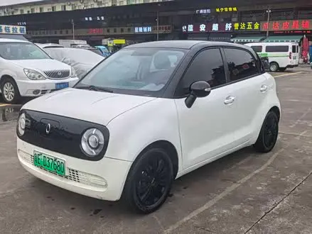 ORA BLACK CAT 2021