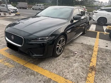 JAGUAR XEL 2024