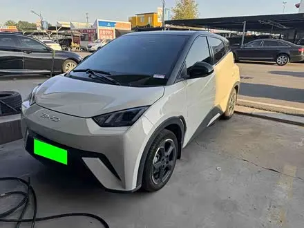 BYD SEAGULL — из Китая под ключ