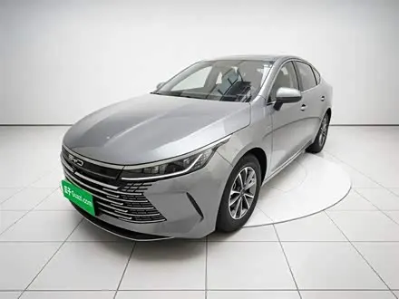 BYD DESTROYER 05 2024