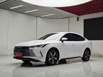 BYD DESTROYER 05 2023