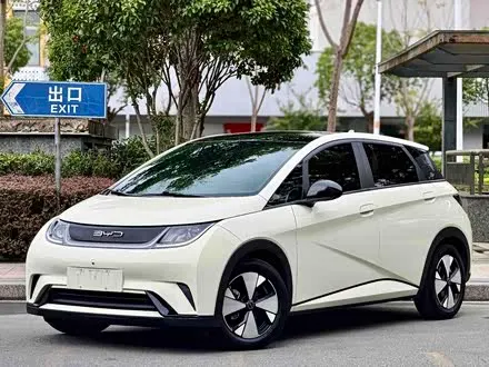 BYD DOLPHIN — из Китая под ключ