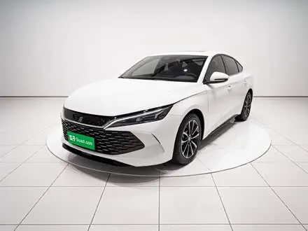 BYD QIN L 2024
